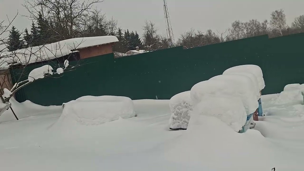 8 февраля.добовляем корма.