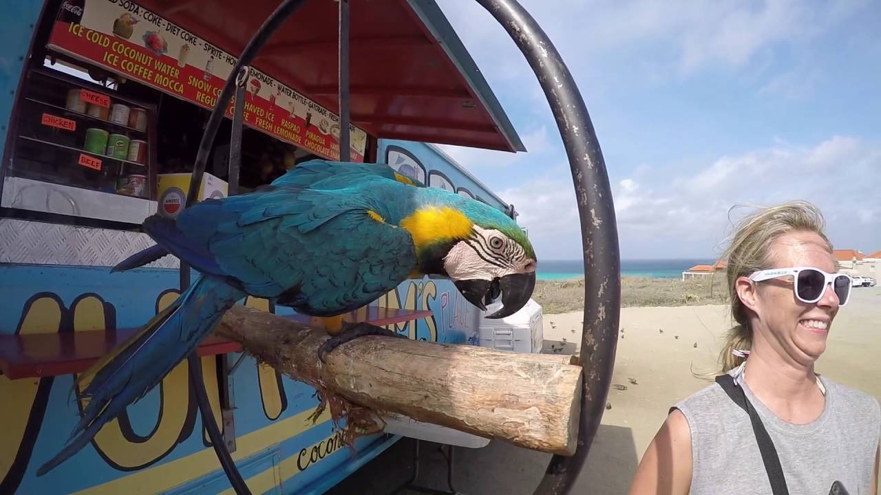 Aruba 2016