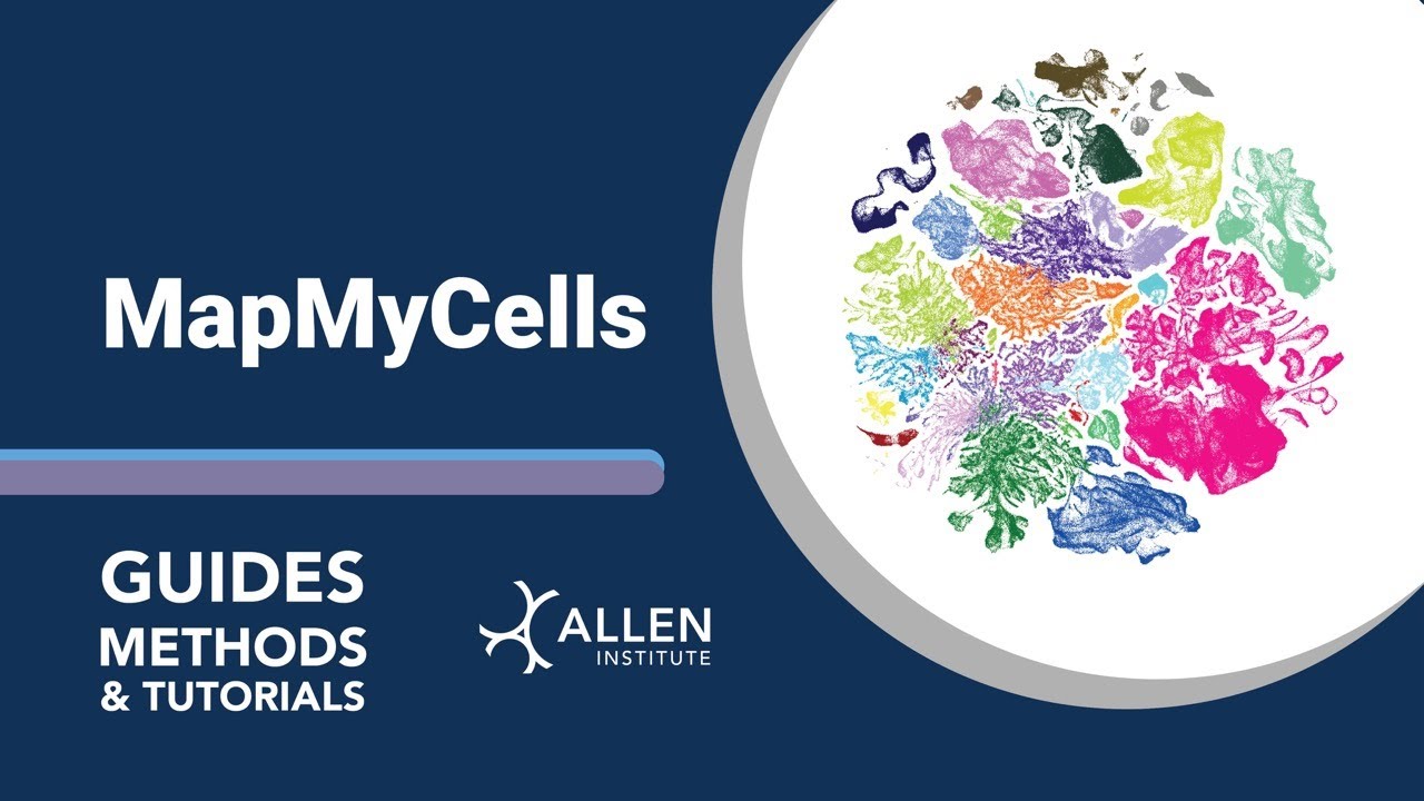 MapMyCells | Tutorial