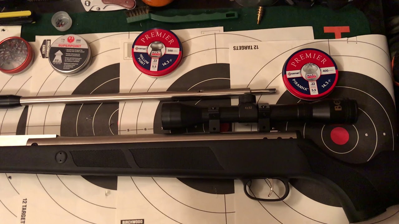 Beeman dual caliber air rifle review