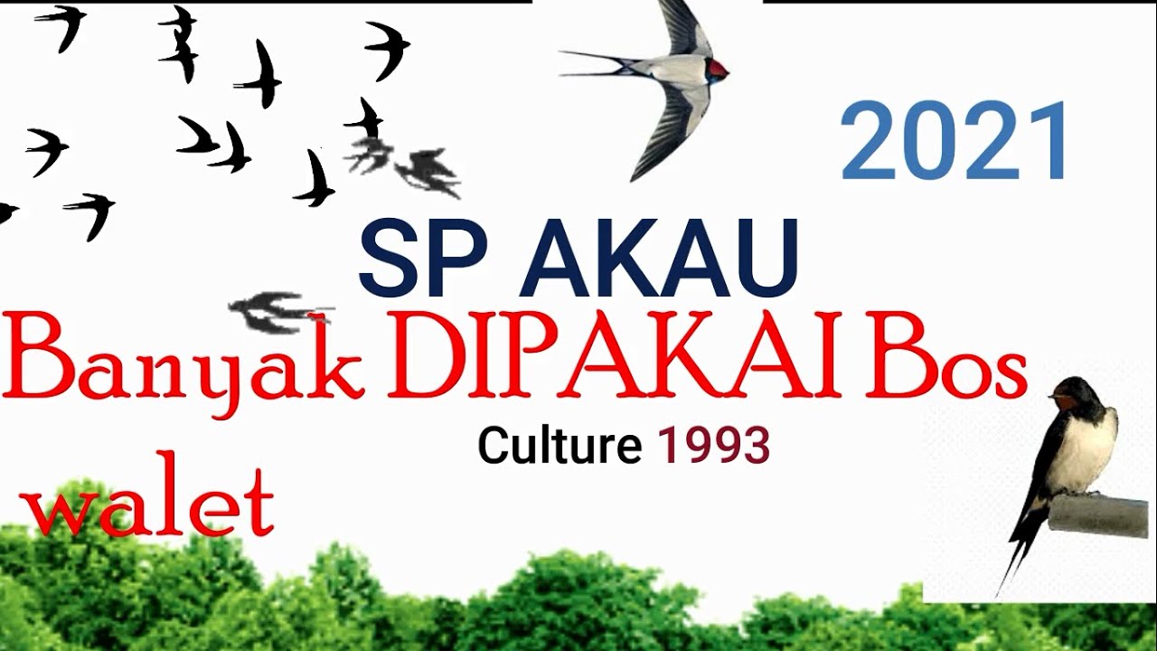 SP WALET  AKAU PALING RESPON  ! DURASI PANJANG