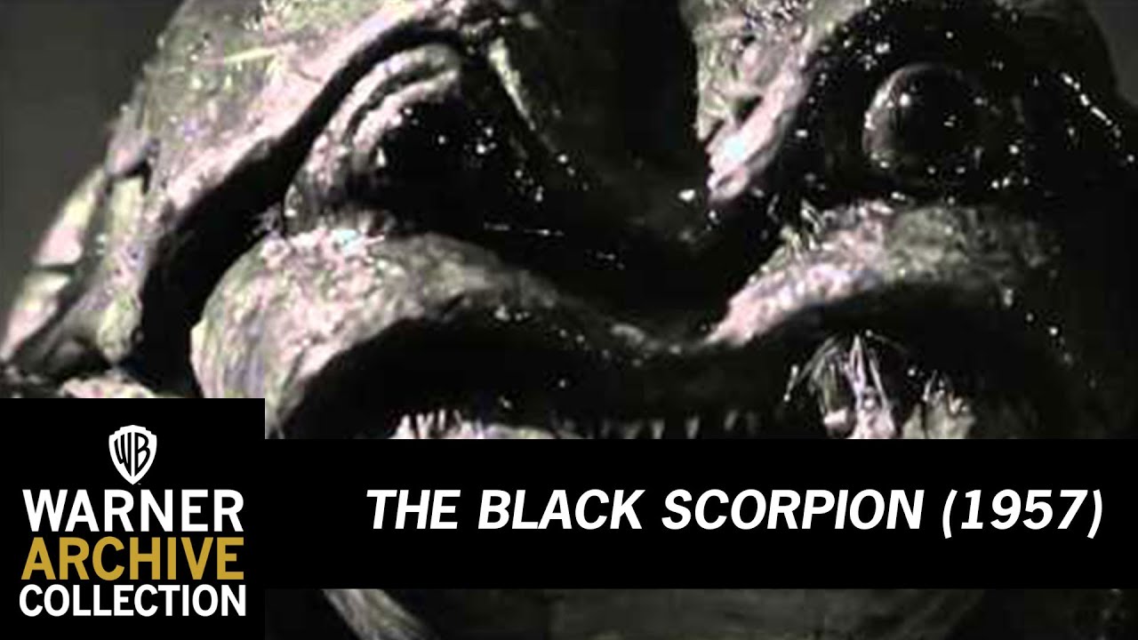 Preview Clip | The Black Scorpion | Warner Archive