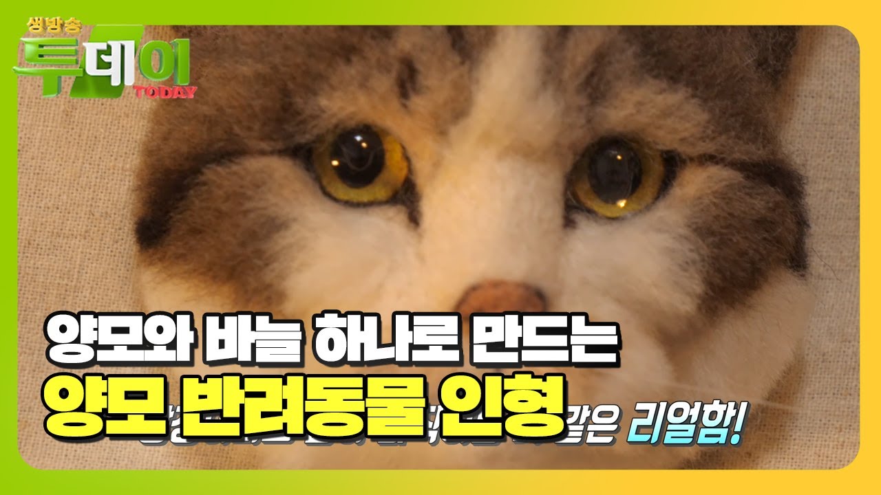 진짜보다 더 진짜 같은 ‘양모 반려동물 인형’ #생방송투데이 #LiveToday #SBSstory