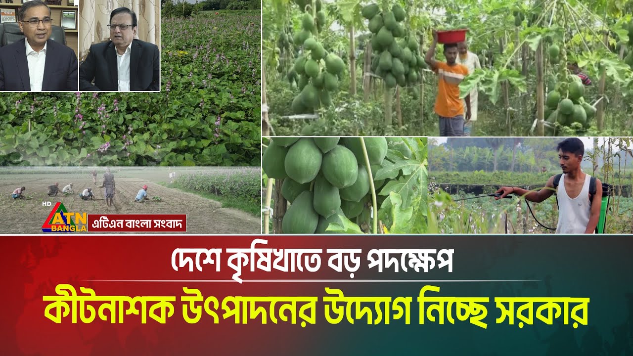 দেশে কীটনাশক উৎপাদনের উদ্যোগ নিচ্ছে সরকার | কৃষিখাতে বড় পদক্ষেপ | Pesticides | ATN Bangla News