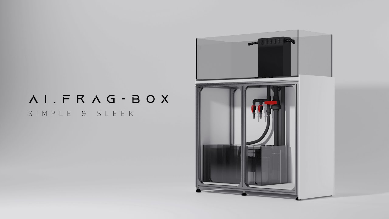 Lắp Đặt Hồ Cá Nước Mặn Mơ Ước - AI.FRAG-BOX # TẬP 1 | Dream Reef - Tank Setup