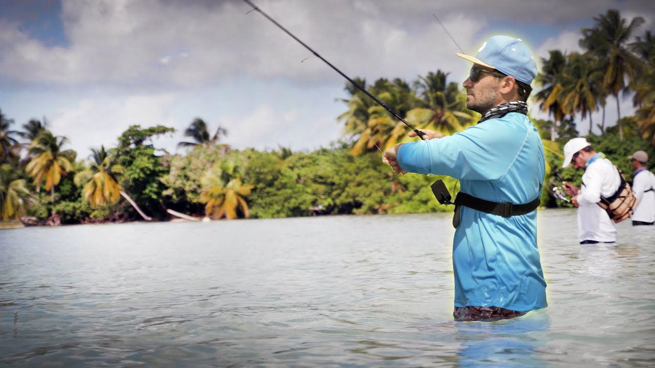 A la TRAQUE du poisson FANTOME de Guadeloupe