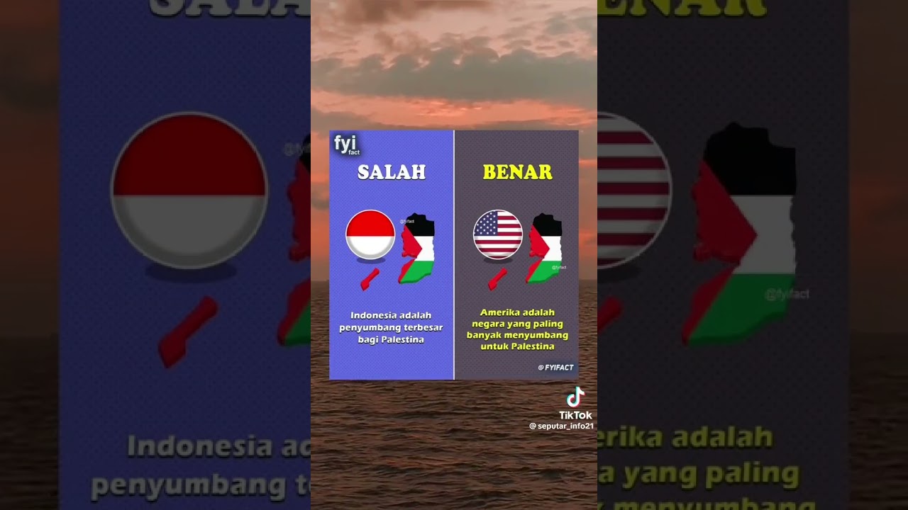 5 donatur terbesar di Palestine 🇸🇩