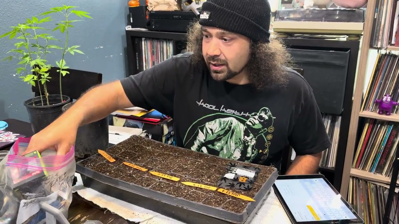 EASIEST WAY TO POP and KEEP TRACK OF SEEDS!