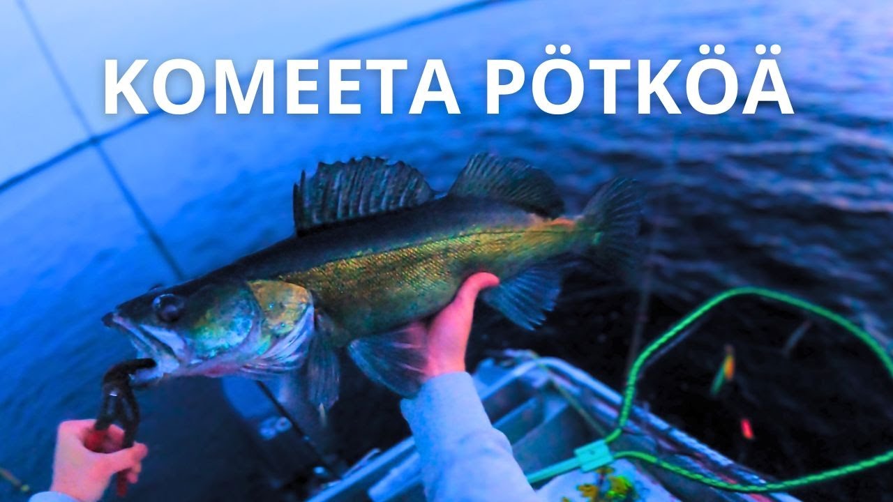 KUHAN UISTELU | VIIKONLOPPU VESILLÄ | PERJANTAI