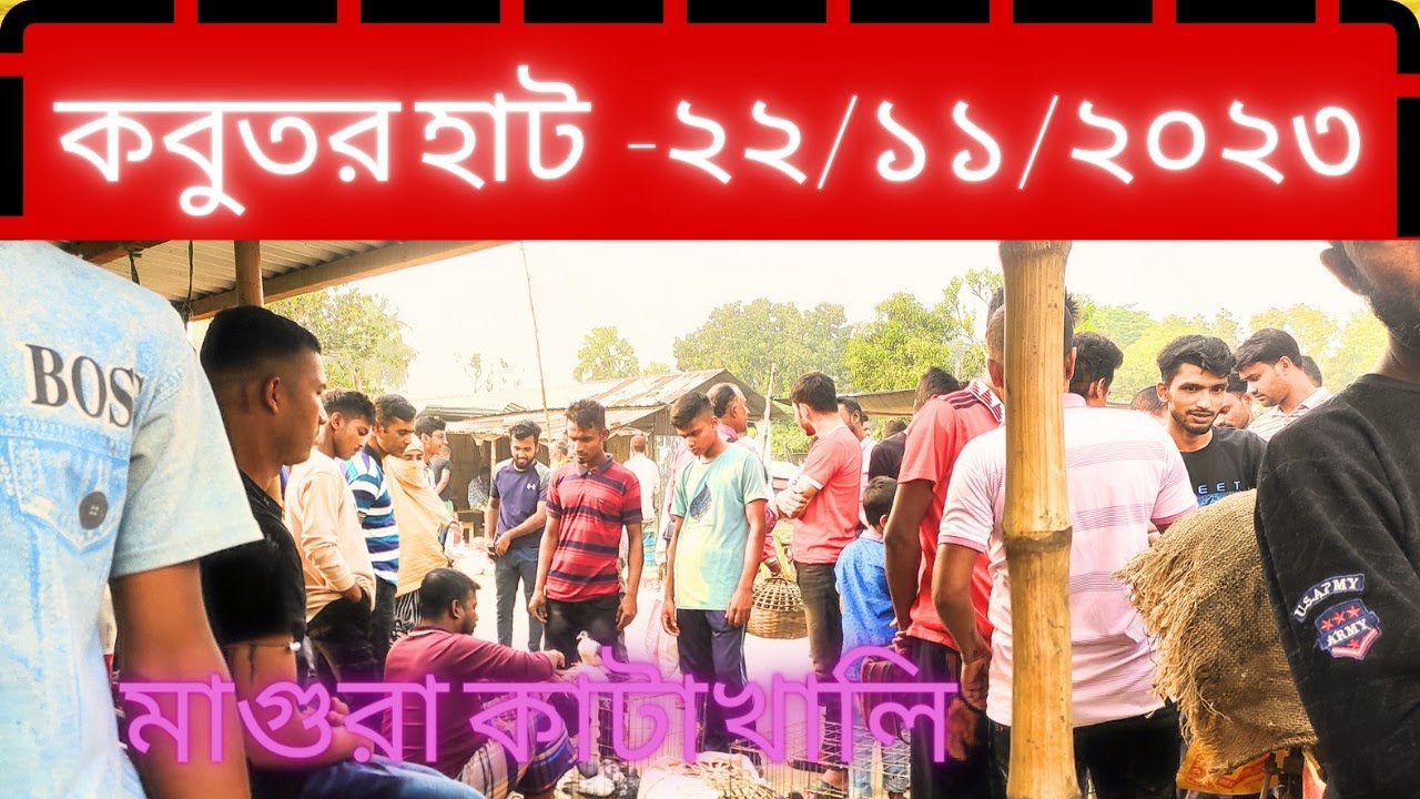 কবুতরের হাট -২০২৩!!কবুতর প্রাইস ইন বাংলাদেশ!! কাটাখালি হাট মাগুরা।চঞ্চল মিডিয়া।