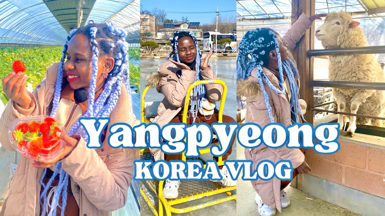 A day in Yangpyeong, Korea | winter activities, Strawberry berry picking | Black in Korea