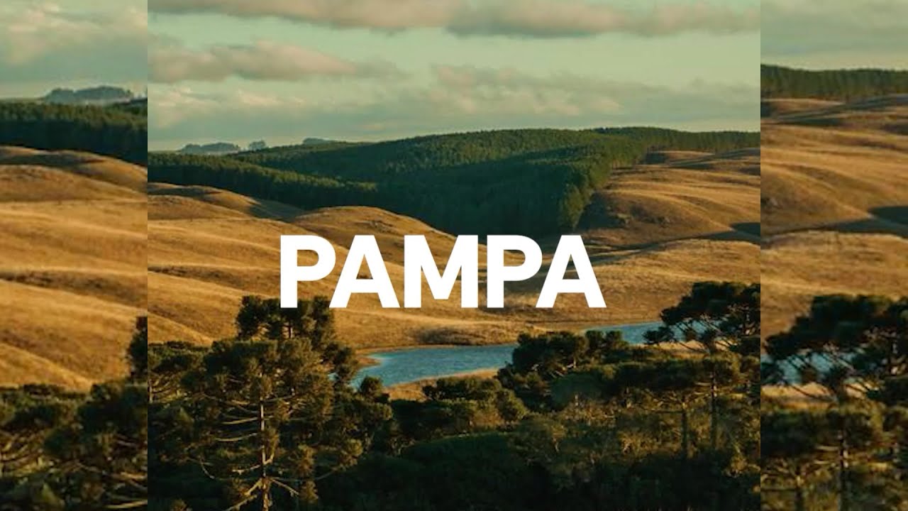 Biomas do Brasil | Ep. 5 | Pampa: Terra das gramíneas