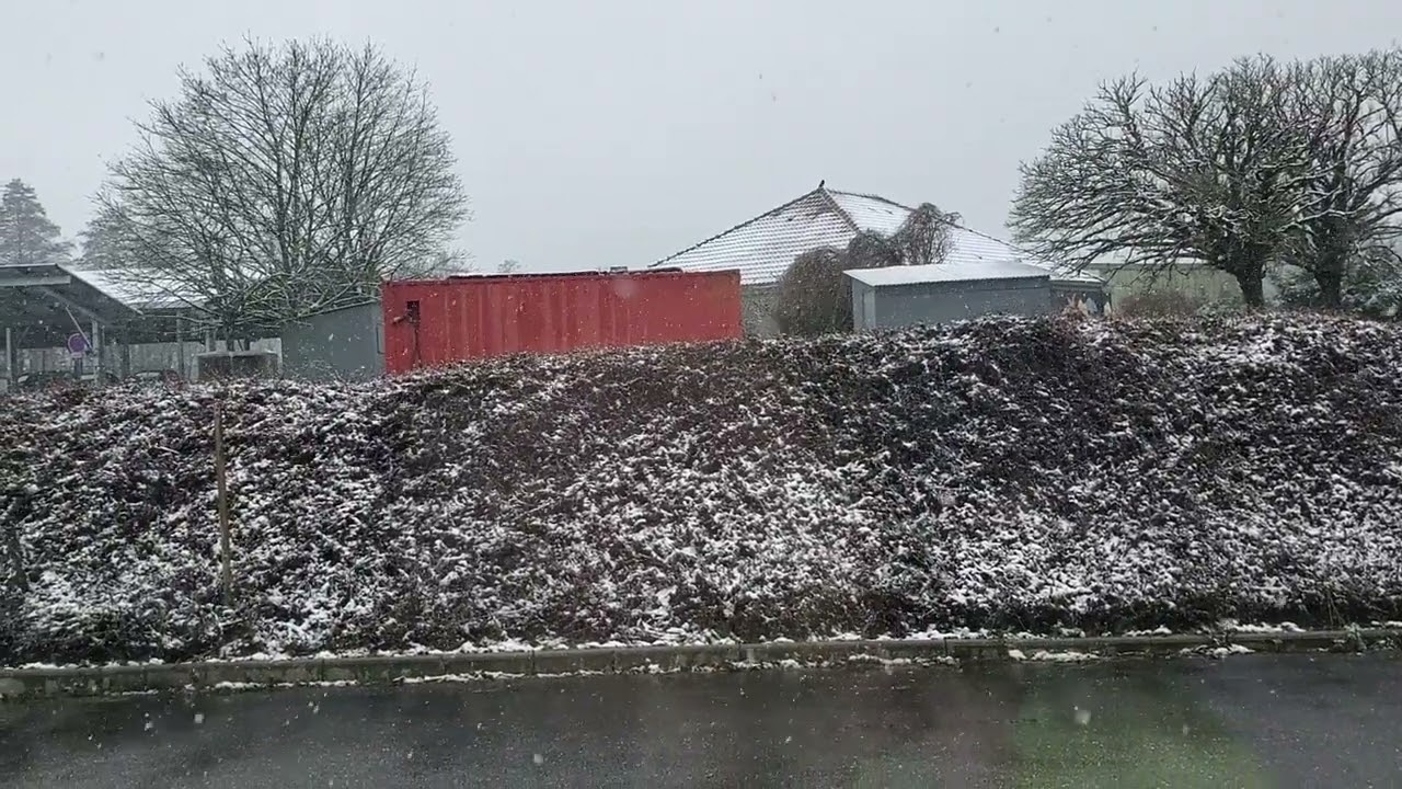 Épisode neigeux du mercredi 18/02/26 en Alsace 