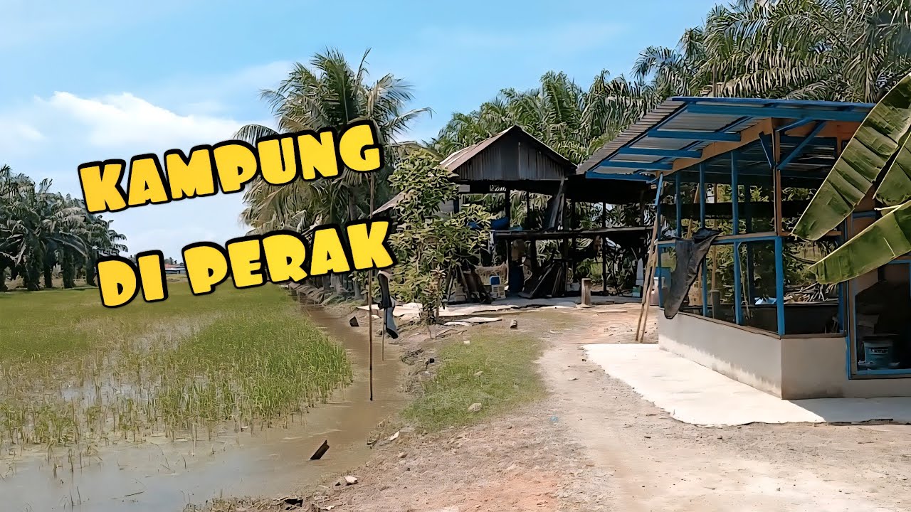 ✅️ Suasana Tenang, Angin Sawah | Homestead Tepi Sawah, Tg. Piandang