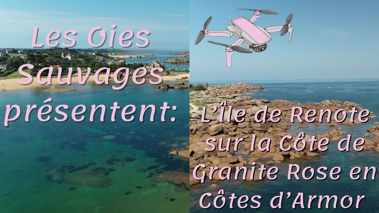 Île de Renote, à Trégastel, sur la  Côte de Granite Rose en Côte d'Armor (22)