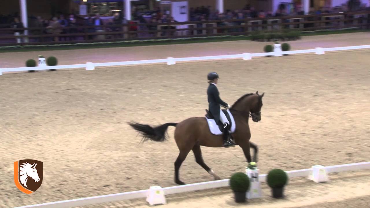 WDM Lier 2016 #4 in CDI U25 WDM VIAN GROUP GPF Jill Huybregts & Zamacho Z