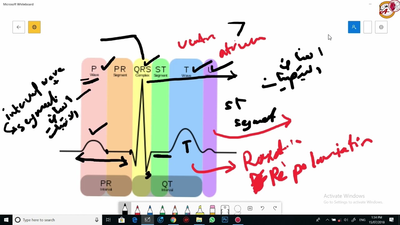ECG مراجعه مبسطه وشامله لاهم مواضيع  تخطيط القلب لطلاب المراحل الاولى طب عام اوتمريض