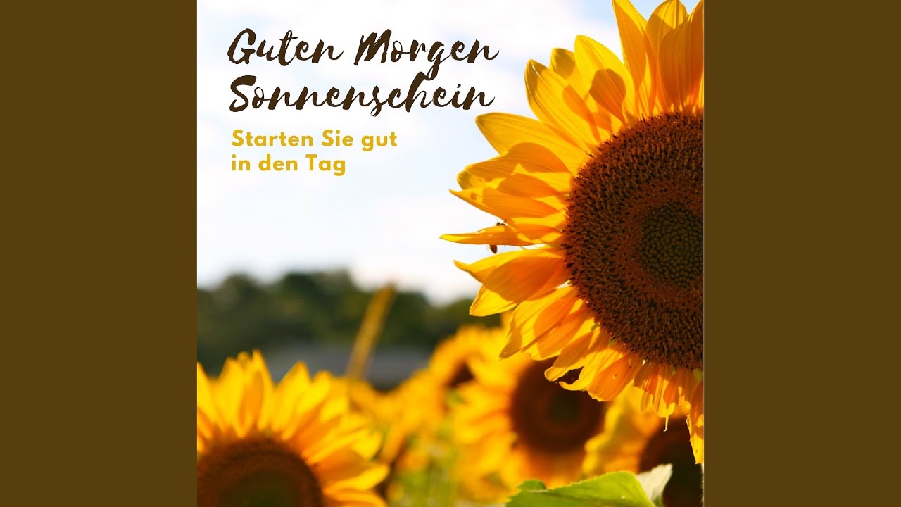 Froh, mit Energie und Freude am Morgen aufwachen
