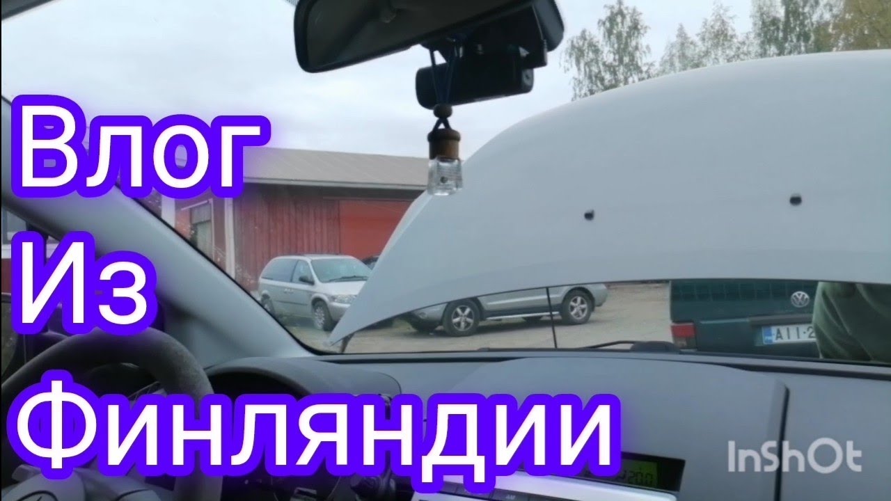 Какие цены в Финляндии / мои хвостик и #влог #vlog #cat #обзор #мариупольцы