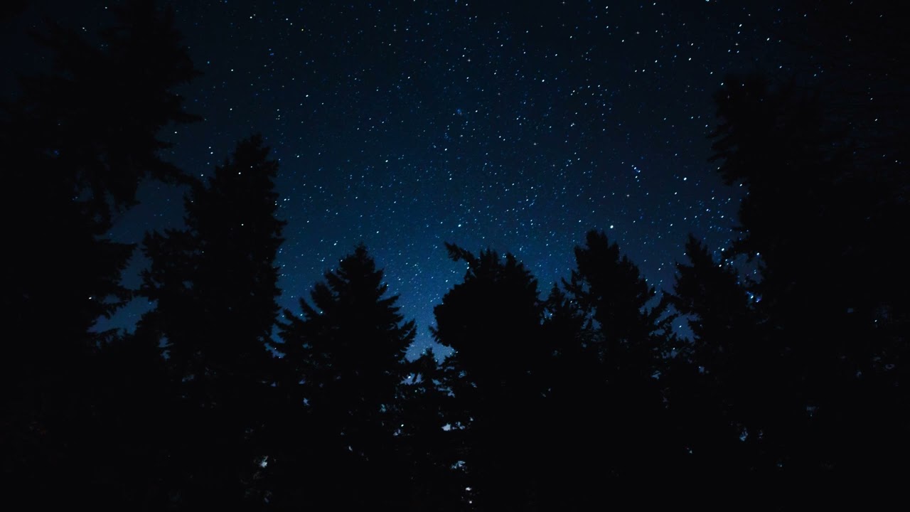 Night Ambience: Crickets & Wind Sounds for Deep Sleep | 10 Hours