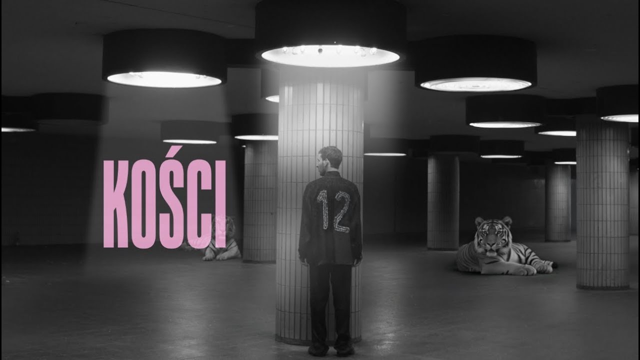 IGO - Kości