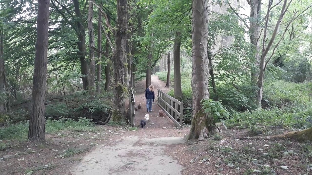 Broomhead Reservoir To More Hall Reservoir Circular Walk South Yorkshire UK