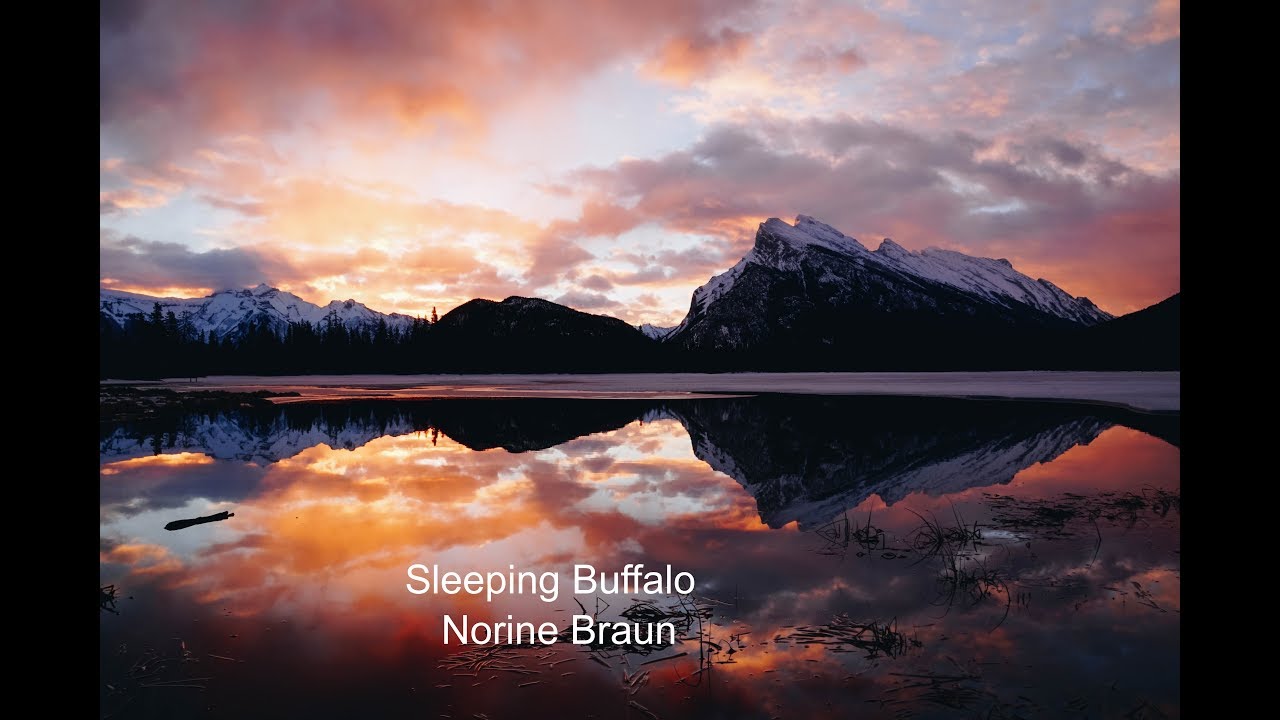 Sleeping Buffalo Norine Braun