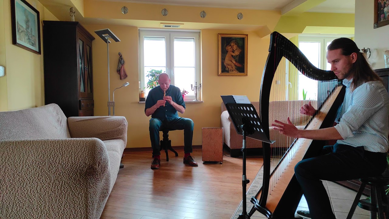 Adieu Pauvre Carnaval Whistle & Celtic Harp