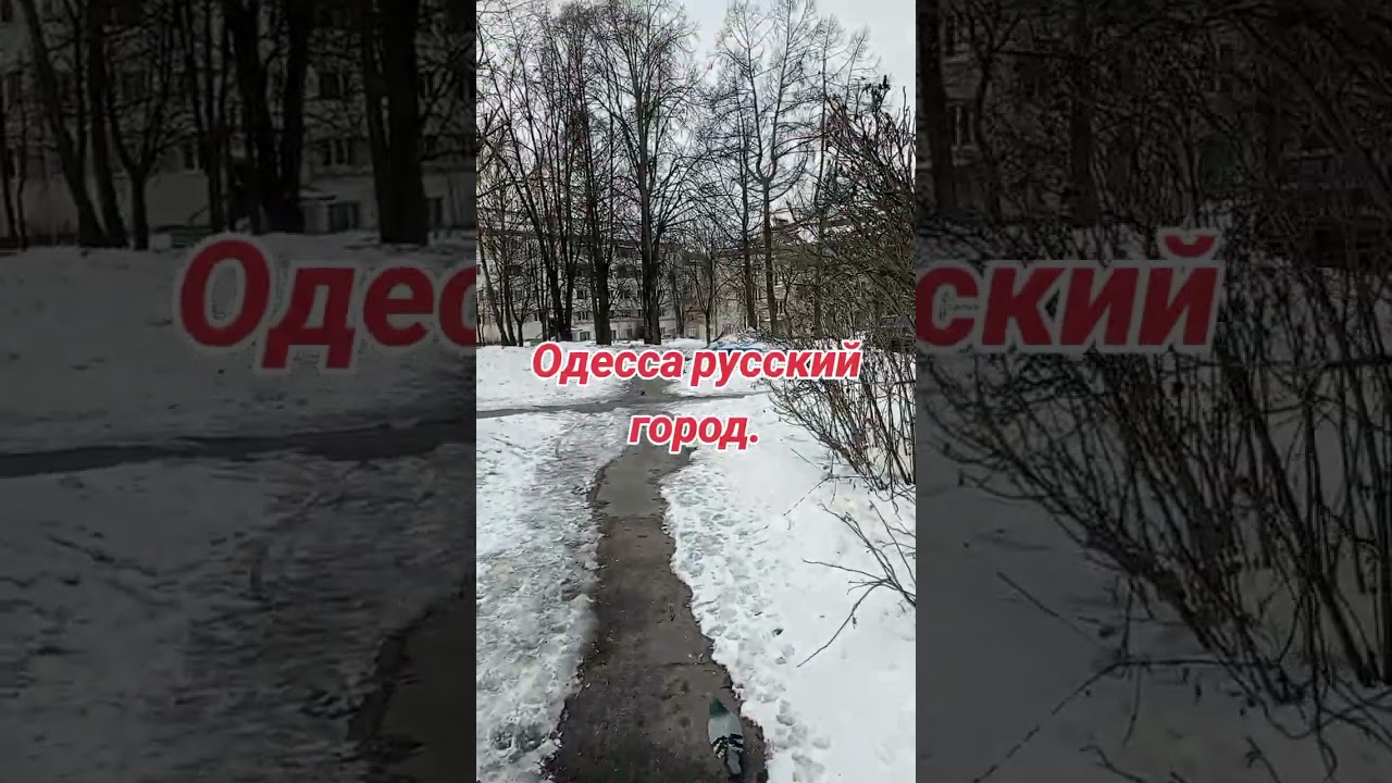 27 февраля 2026 г.