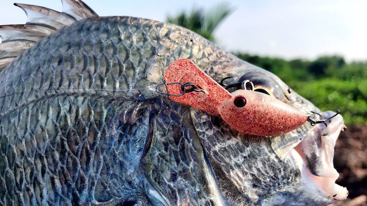 Mồi Câu Lure Cá Tráp Hanh Nhạy Nhất Một Chạm Là Dính | The Best Bream Lures