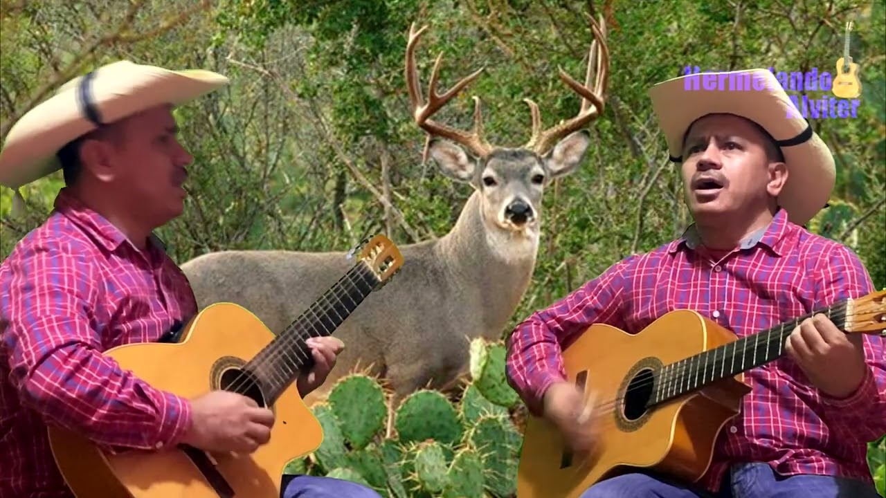 El Venadito (Soy un Pobre Venadito) Hermelando Alvíter y Mr. H - Guitarra y Requinto Campirano (D.P)