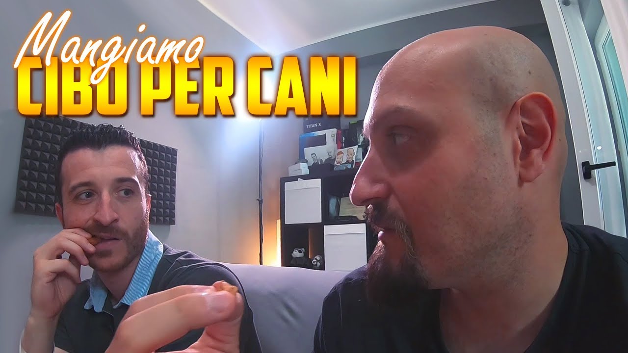 ASSAGGIAMO CIBO PER CANI...