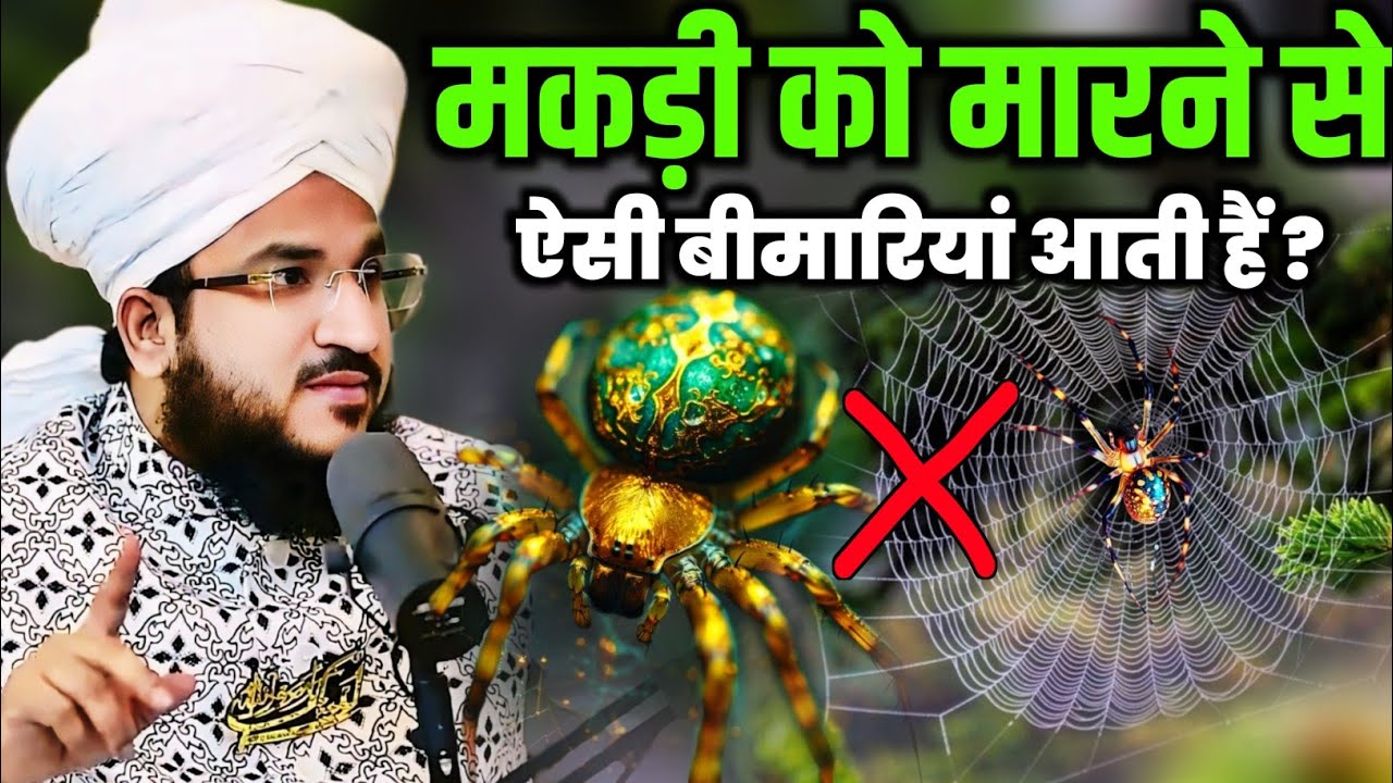 मकड़ी को मारने से ऐसी बीमारियां आती हैं ? | Kya Makdi Ka Jala Saaf Karna Chahiye-Mufti Salman azhari
