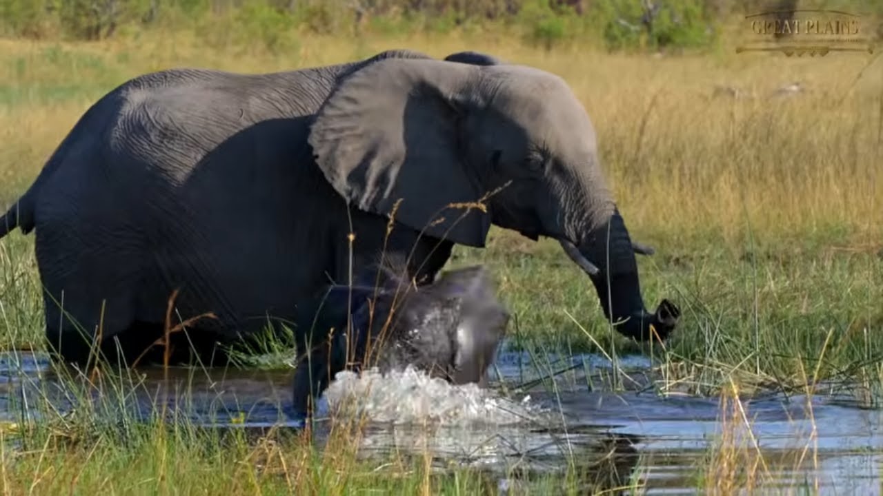 In Celebration of Water | Great Plains