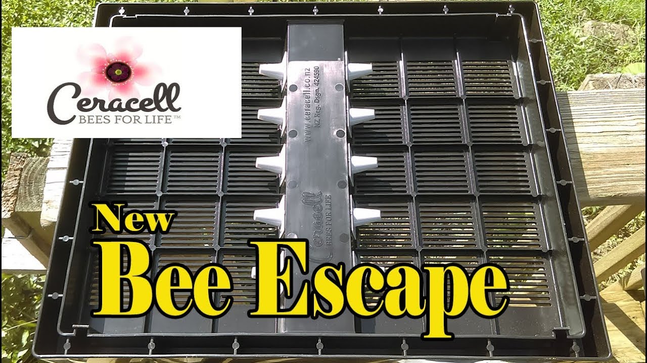 Ceracell's New Bee Escape / Removing Honey Supers Just Got Easy