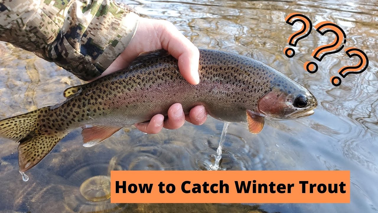 How to Catch Winter Trout | Boise River Fishing