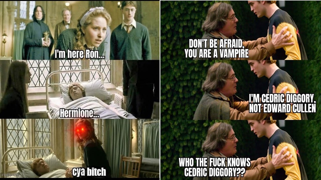 Only Harry Potter fans will find funny #26