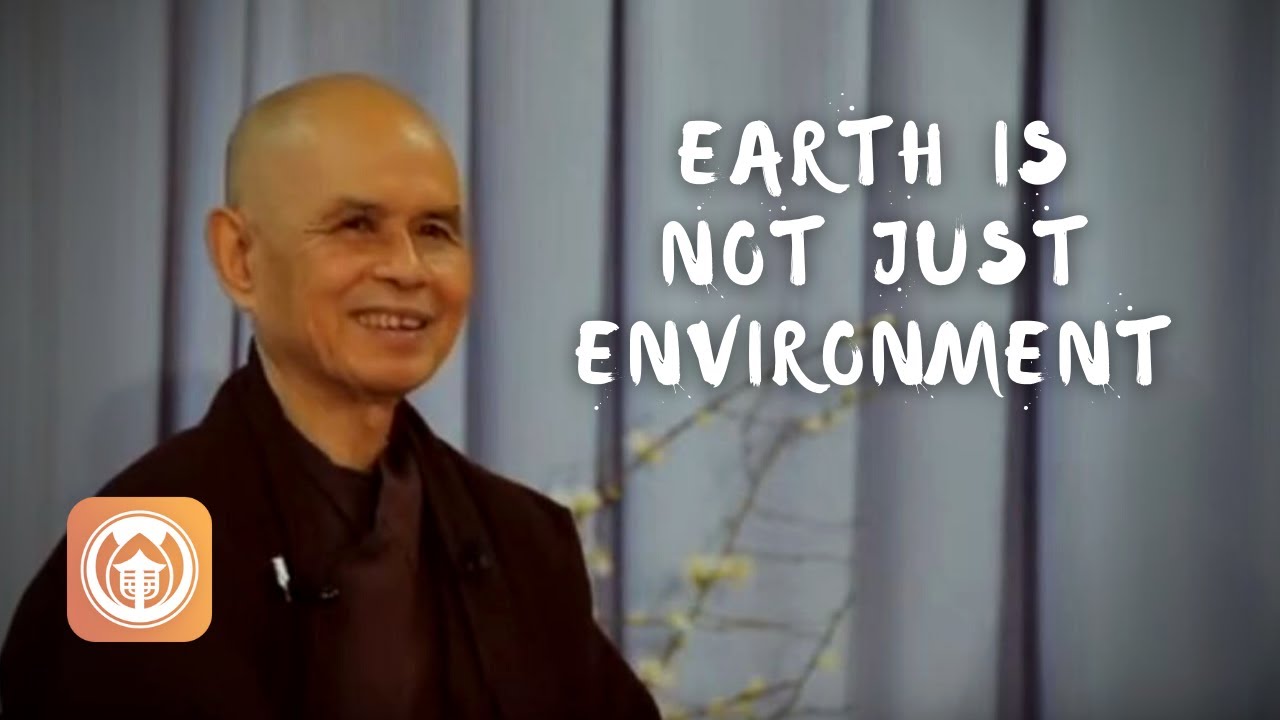 Earth Is Not Just Environment | Thich Nhat Hanh (short teaching video)