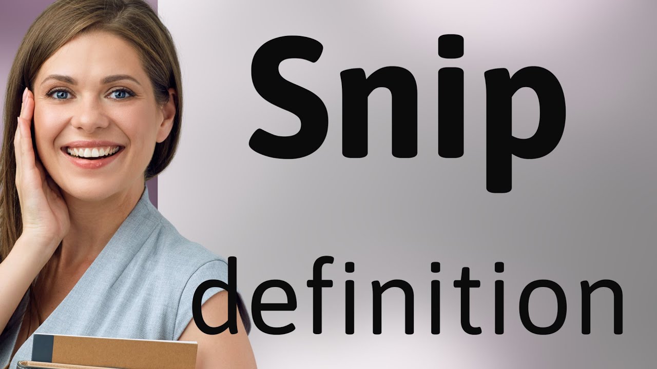 Snip &mdash; definition of SNIP