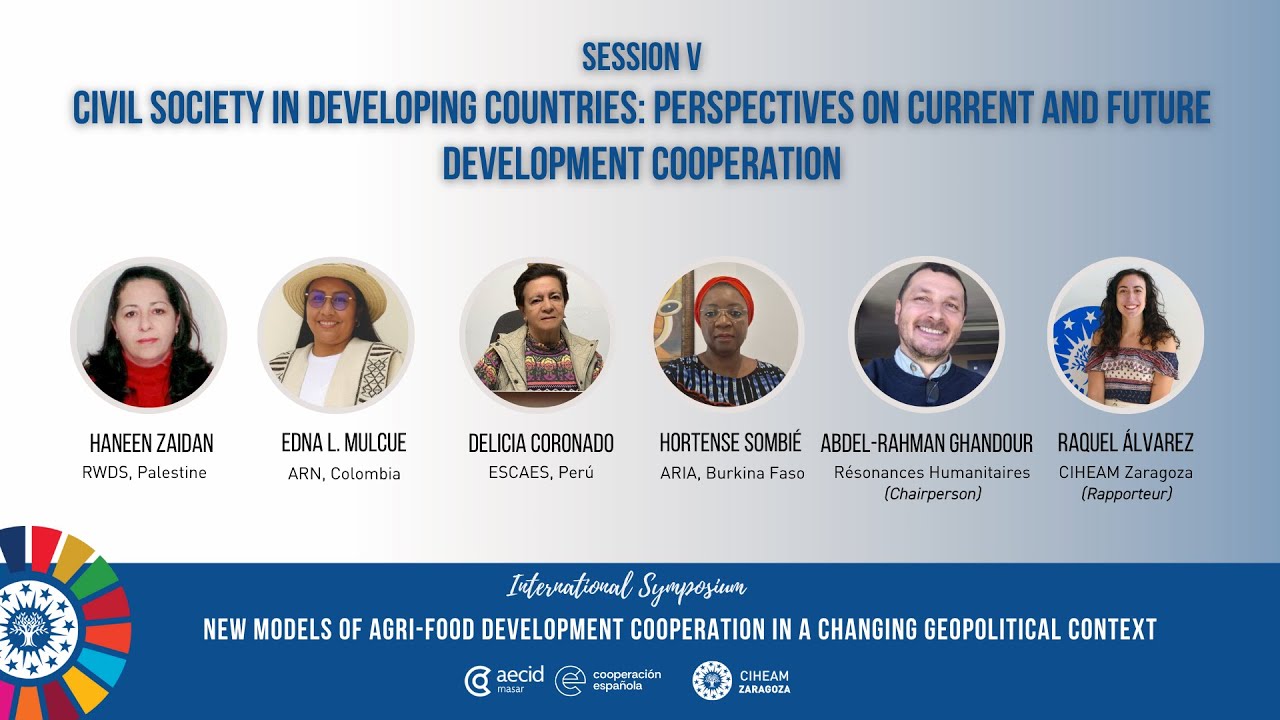 Civil Society in Developing Countries: Perspectives on Current and Future Development Cooperation