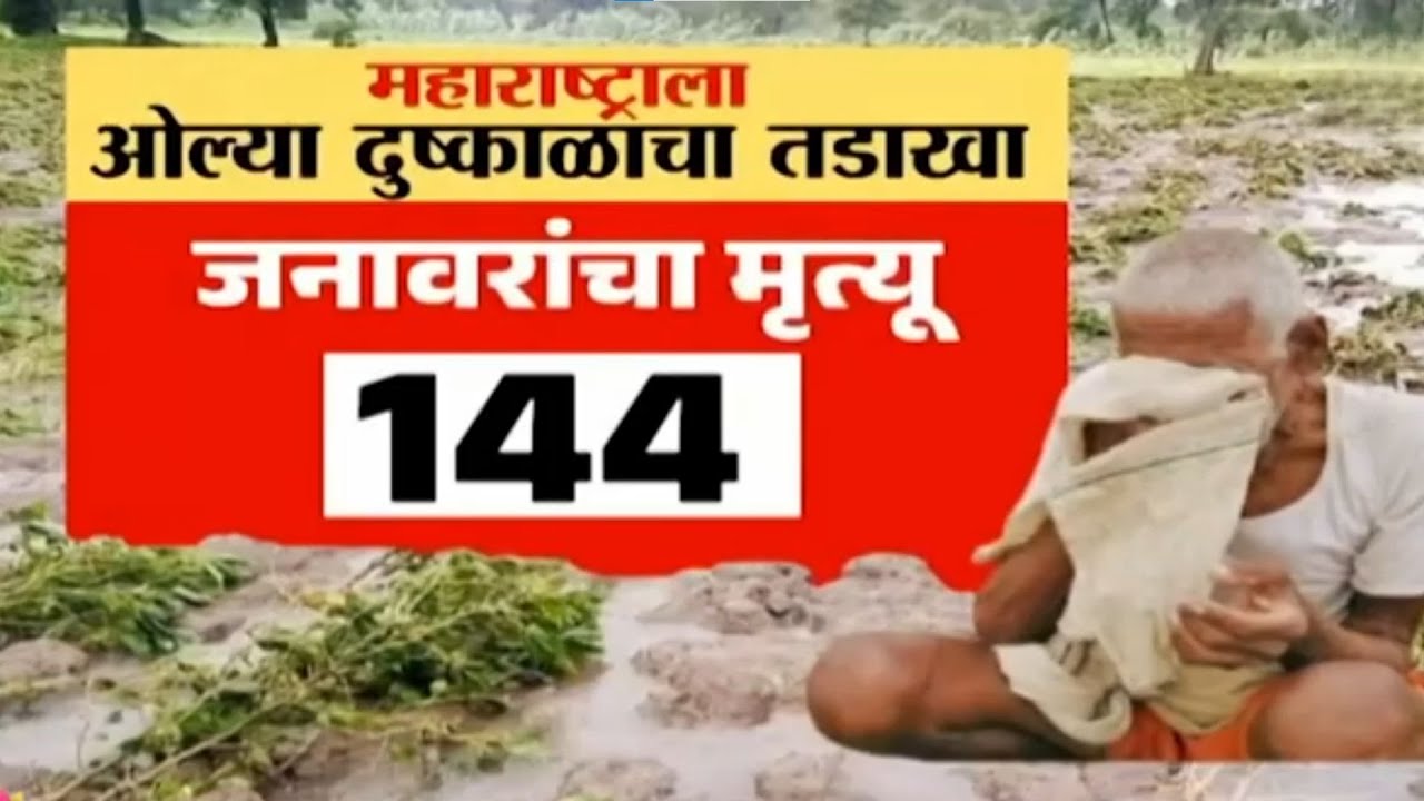 Special Report | ओल्या दुष्काळग्रस्ताची 3164 रुपयांवर बोळवण? | Maharashtra Agriculture News