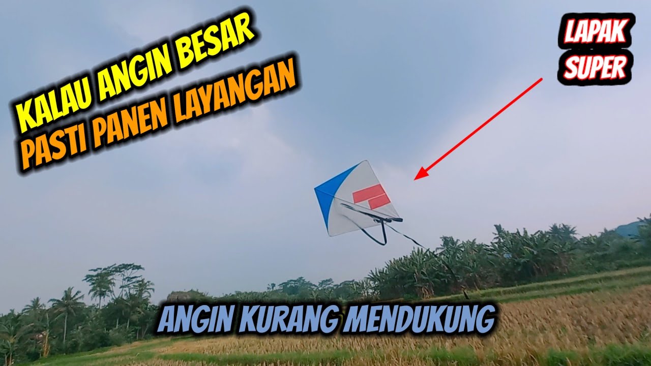 MORO LAYANGAN DI TEMPAT BARU | HOBI OM