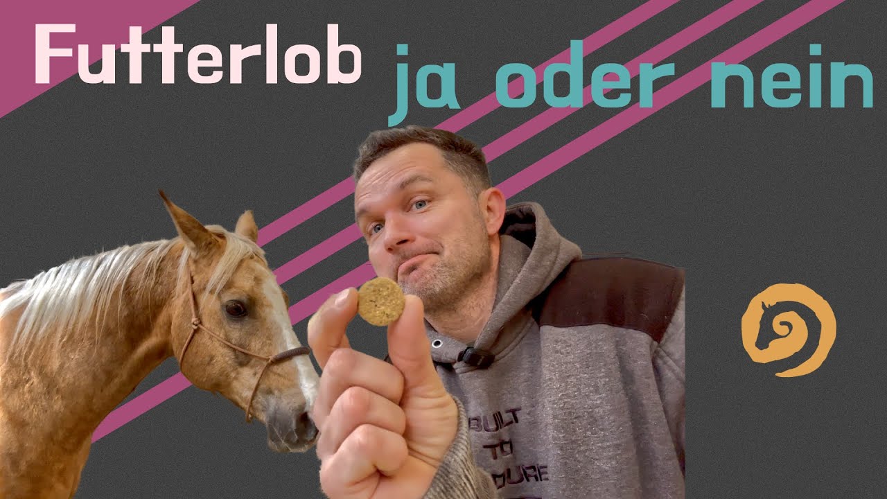 Futterlob / Leckerli - ja oder nein?