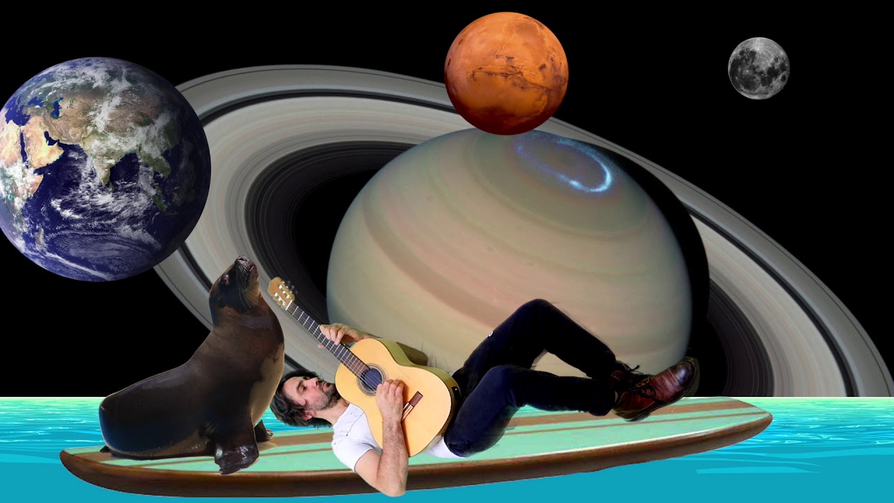 Surfing with the Sea Lion