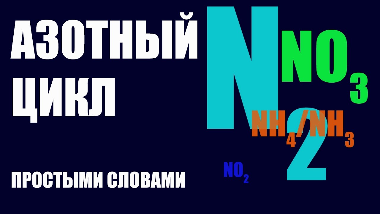 Азотный цикл. #Аквариумный_вопрос №1