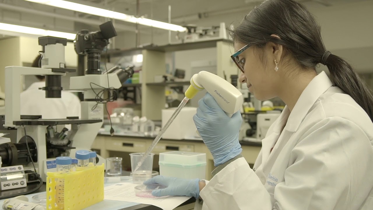 Fluorescence Lab