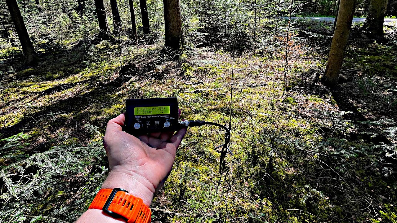 QRP-comparison: EFHW vs. vertical; SW-3B vs. QCX mini