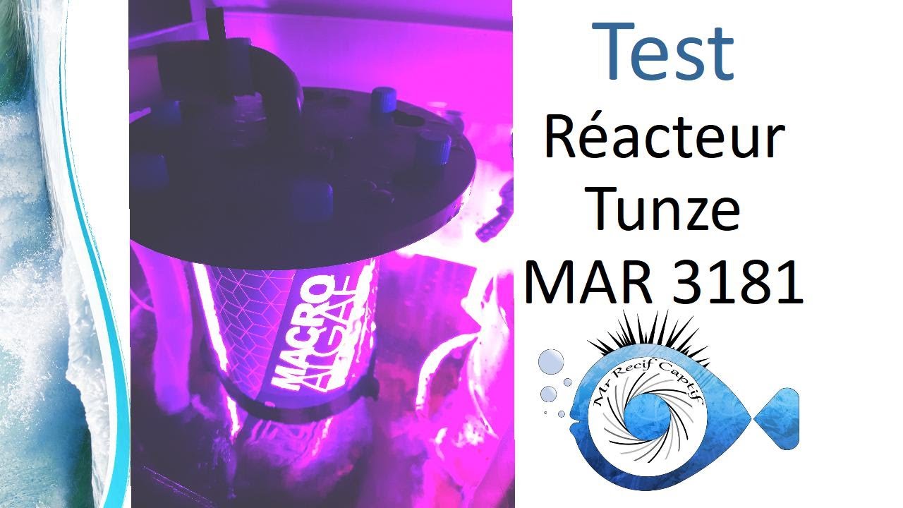 Tunze Macro Algae Reactor MAR 3181, l'épuration plus que parfaite ? - Mr Recif Captif #294