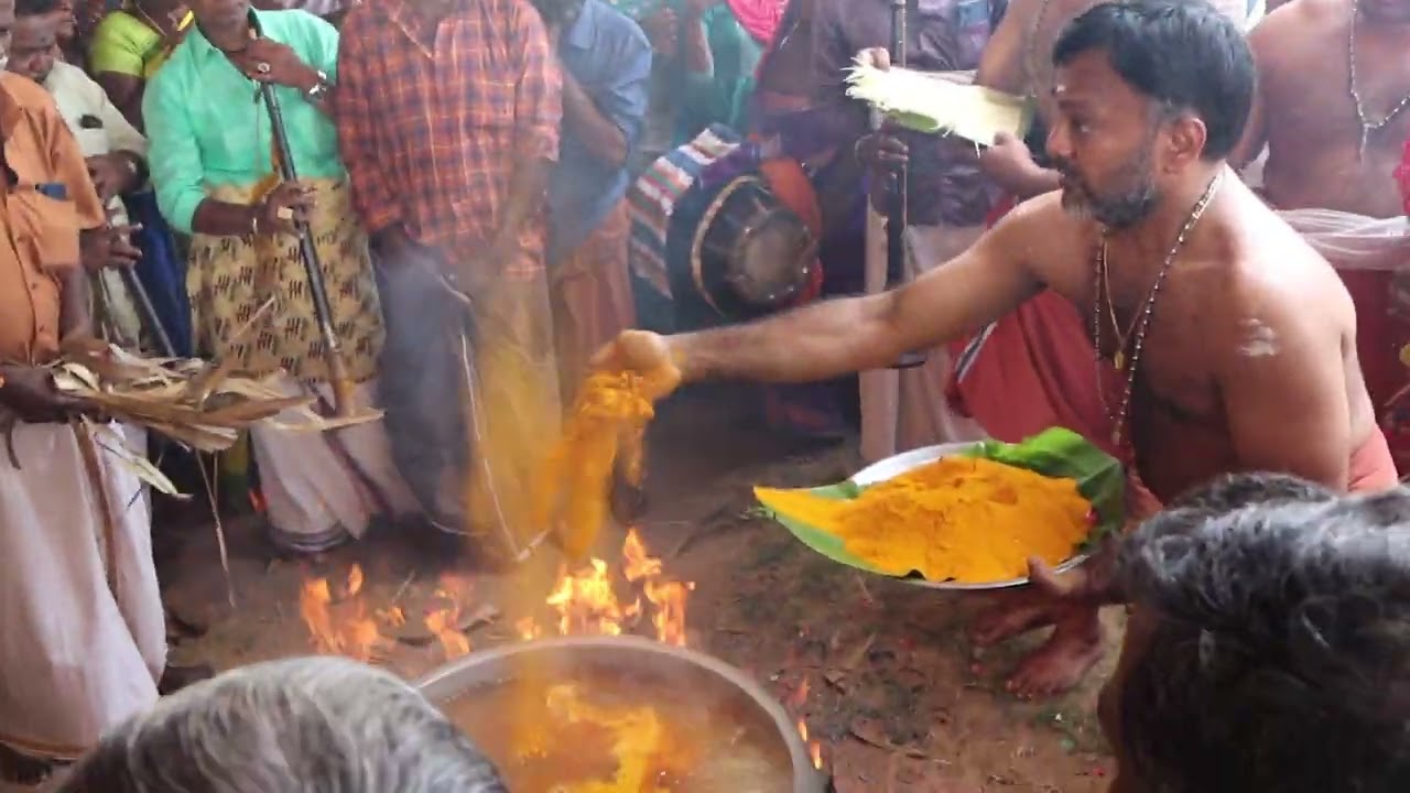 ஆரல்வாய்மொழி வடக்கூர் ஸ்ரீ முத்தாரம்மன் சமேத முத்தீஸ்வரர் திருக்கோவில் கொடை விழா #aralvaimozhi