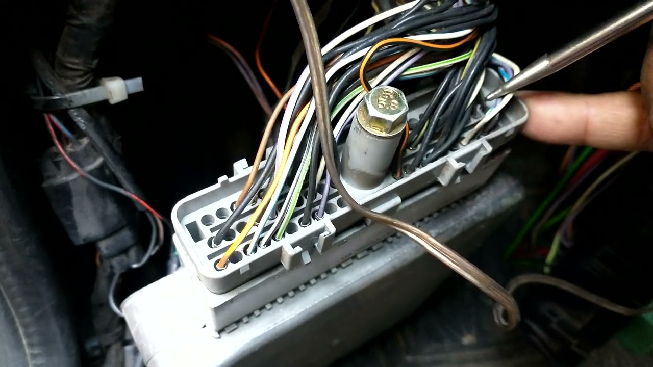 Alimentaciones de tierras y positvos de la computadora de la Ford Courier modelo LP4121 Peluso Tv